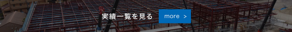 実績一覧を見る